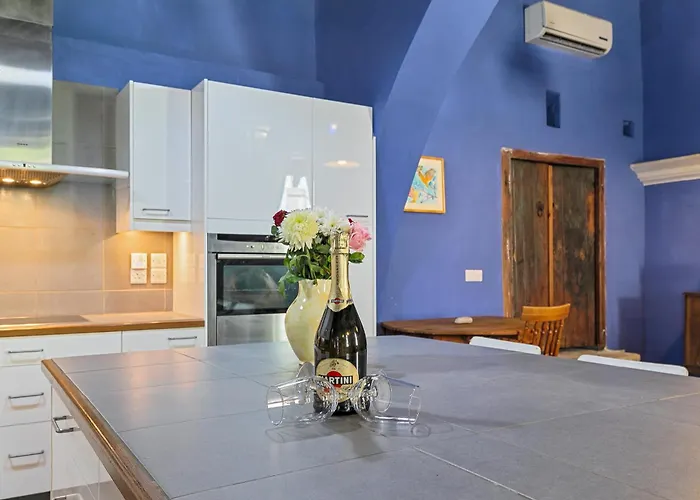 Penzion Blue Oak House Kato Drys